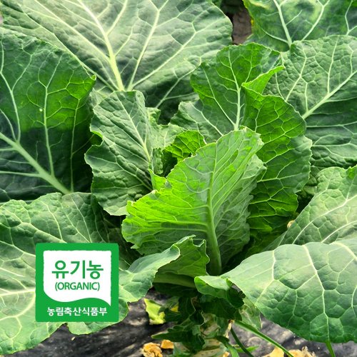 추가8이미지
