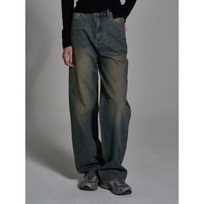 Regular Brushed Denim Pants_Beige