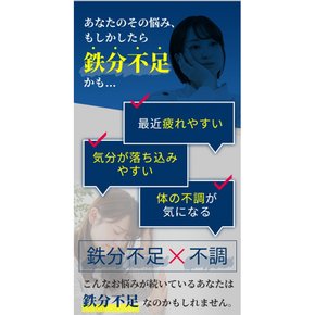 인코코티 철분보급 보충제 60알 30일분 헴철 락토페린 멀티비타민 엽산