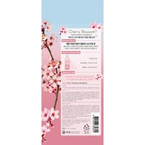 퍼퓸 체리블라썸 샴푸 1L