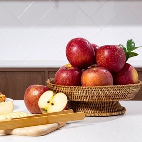 [더조은] 햇사과 경북직송 감홍사과 (가정용) 3kg 19-21과
