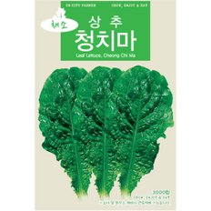  청농 청치마 상추씨앗 3000립