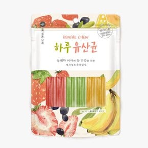 하루 유산균 혼합 12P