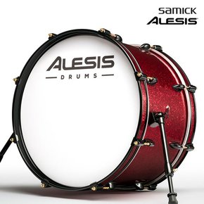 ALESIS 삼익 알레시스 전자드럼 STRIKE PRO SE KIT 스트라이크 프로 스페셜에디션 킷