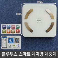 스마트 디지털 체중계 가정 블루투스 체지방 인바디