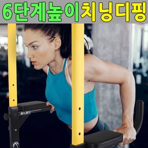 치닝디핑 가정용철봉 턱걸이기구 실내풀업기구 딥스바