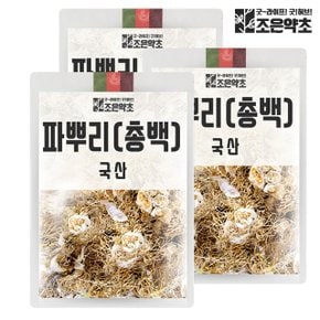 국내산 건조 파뿌리 파뿌리차 총백 대파차 300g x 3