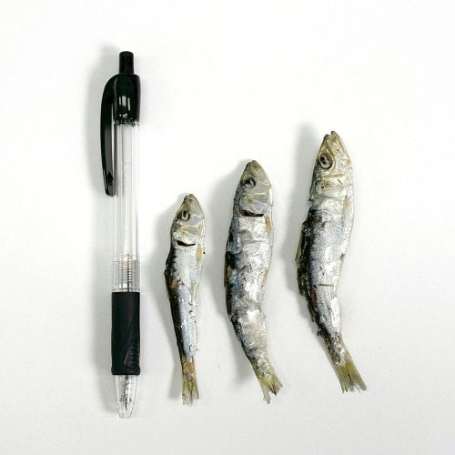 상품이미지6