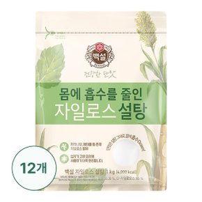 [CJ] [G] 백설 하얀 자일로스설탕 1kg X 12개