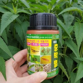 충박멸 250ml 귤 사과 점박이 응애 조팝나무 진딧물 약 월동 병해충 박멸 친환경살충제 파라핀유