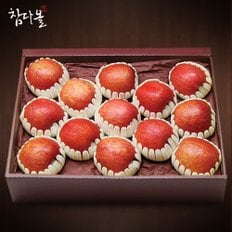 [9/10 낮12시 주문건까지 명절전출고][GAP저탄소인증] 사과선물세트 4.7kg(10~15입내)