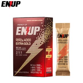 엔업 아미노 4000 5.4g x 10포 자전거 러닝 러너 마라톤 스포츠 BCAA 보충제