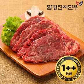 [함평축협] 함평천지한우 1++(7) 안심 300g