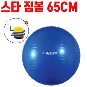 스타 마사지 짐볼 65cm 요가 스트레칭 발펌프 파랑