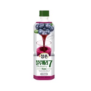  참존 블루베리7 퓌레 농축액 835ml