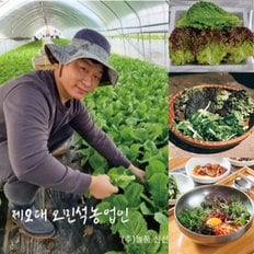  [산지직송] 늘품 반반상추(적상추반+청상추반) 1kg