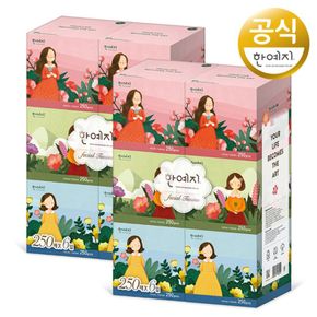 캐릭터 MINI 천연펄프 미용티슈 250매 6입 2팩[28393879]