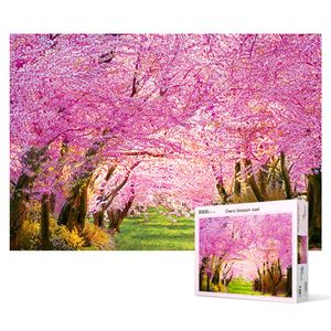 오너클랜 1000피스 직소퍼즐 - 벚꽃길