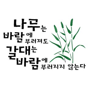 스텐실도안(ST-3224)나무는 바람에