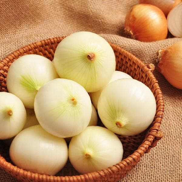[생산자직송] 양파 10kg(특 150g 이상)