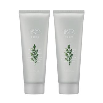 MISSHA [미샤] 개똥쑥 팩폼 클렌저 150ml 2개 SET[33416602]