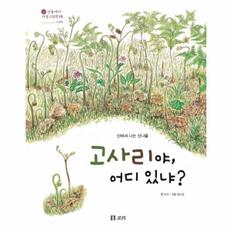 고사리야 어디 있냐? : 산에서 나는 산나물 - 산들바다 자연그림책 12 (양장) / 보리(주)