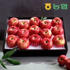 [9/11 오전9시까지 주문시 명절전배송][농협] 정품 안동 사과 선물세트 프리미엄 2호 5kg (19과내)