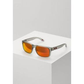 우먼 Oakley HOLBROOK - Sunglasses - 매트 그레이 잉크 9310910