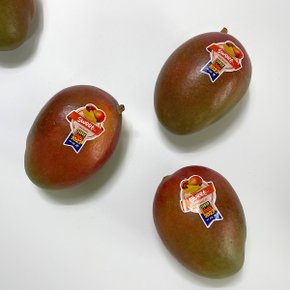 브라질산 애플망고 1kg(2~3입)