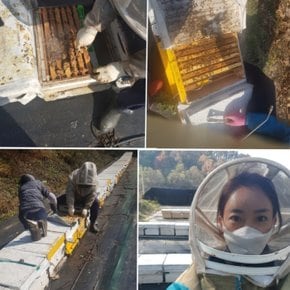 [달달허니] 감로꿀 2.4kg 1병