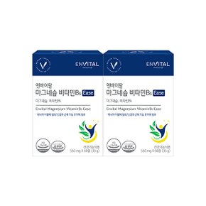 마그네슘 비타민B6 Ease 550mg X 60정  2박스