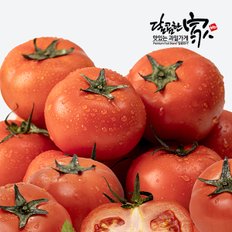 달콤한가 [산지직송]완숙 찰토마토 10kg/랜덤혼합과(정품+가정용)