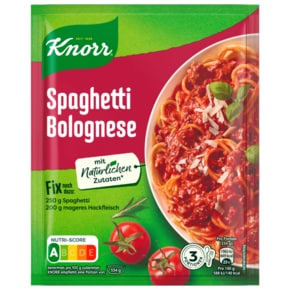 크노르 Knorr 볼로네제 파스타 소스 40g