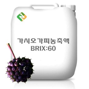 가시오가피농축액 20kg (WCDBB92)