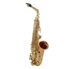 야나기사와 색소폰 A-WO2 알토색소폰 AWO2 Yanagisawa Saxophone