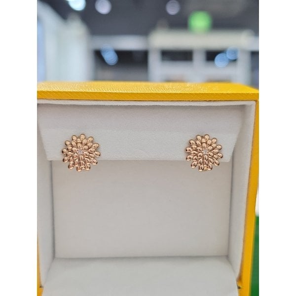 [여주점] 루벨리아(D) PG 14K 귀걸이 210103256