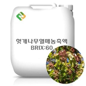 헛개나무열매농축액 20kg (WCDBBF2)