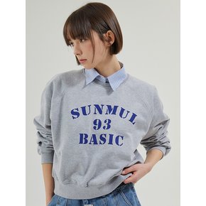 93 basic raglan sweatshirts (melange)