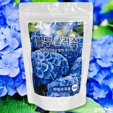 블루 플러스 500g