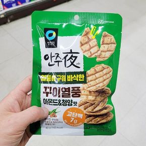안주야 꾸이열풍 아몬드청양맛 40g