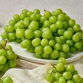 달콤한 망고포도 샤인머스켓 상품 1kg(1-3수)