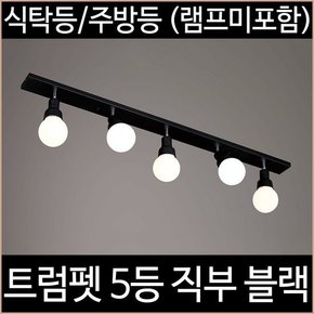 트럼펫 5등 직부 주방등 블랙