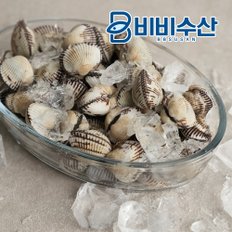 비비수산 벌교직송) 싱싱한 벌교 새꼬막 1kg 소 (120미 내외)