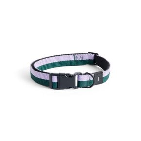 [이노메싸] HAY Dogs Collar Flat M/L 헤이 도그스 칼라 플랫 라벤더/그린 (AD864-D013-AO16)