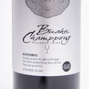 오디와인 스위트 13도 750ml 동진부안참뽕와인 레드 내변산