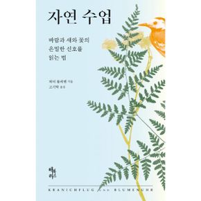 자연 수업 : 바람과 새와 꽃의 은밀한 신호를 읽는 법