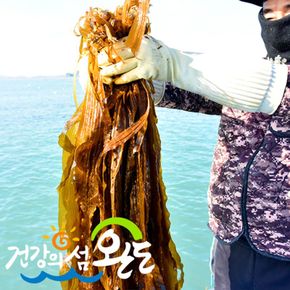 새벽수확 완도 생 곰피 1kg / 곰피미역 쇠미역 완도미역[34994355]