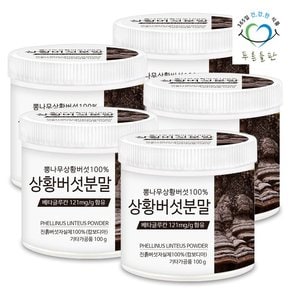 100% 상황버섯 분말 가루 차 100gx5통 베타글루칸 함유 뽕나무 목질 진흙버섯