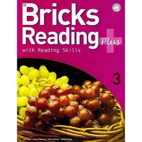 Bricks Reading Plus 3