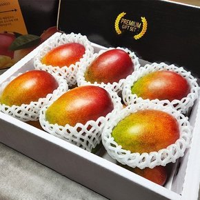 산지직송 제주 애플망고 2kg 6-7과 선물용 제주연가